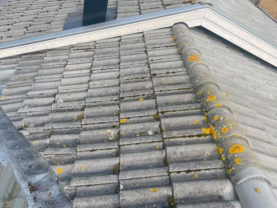 Betongpannetak med mossa och gul lav före taktvätt